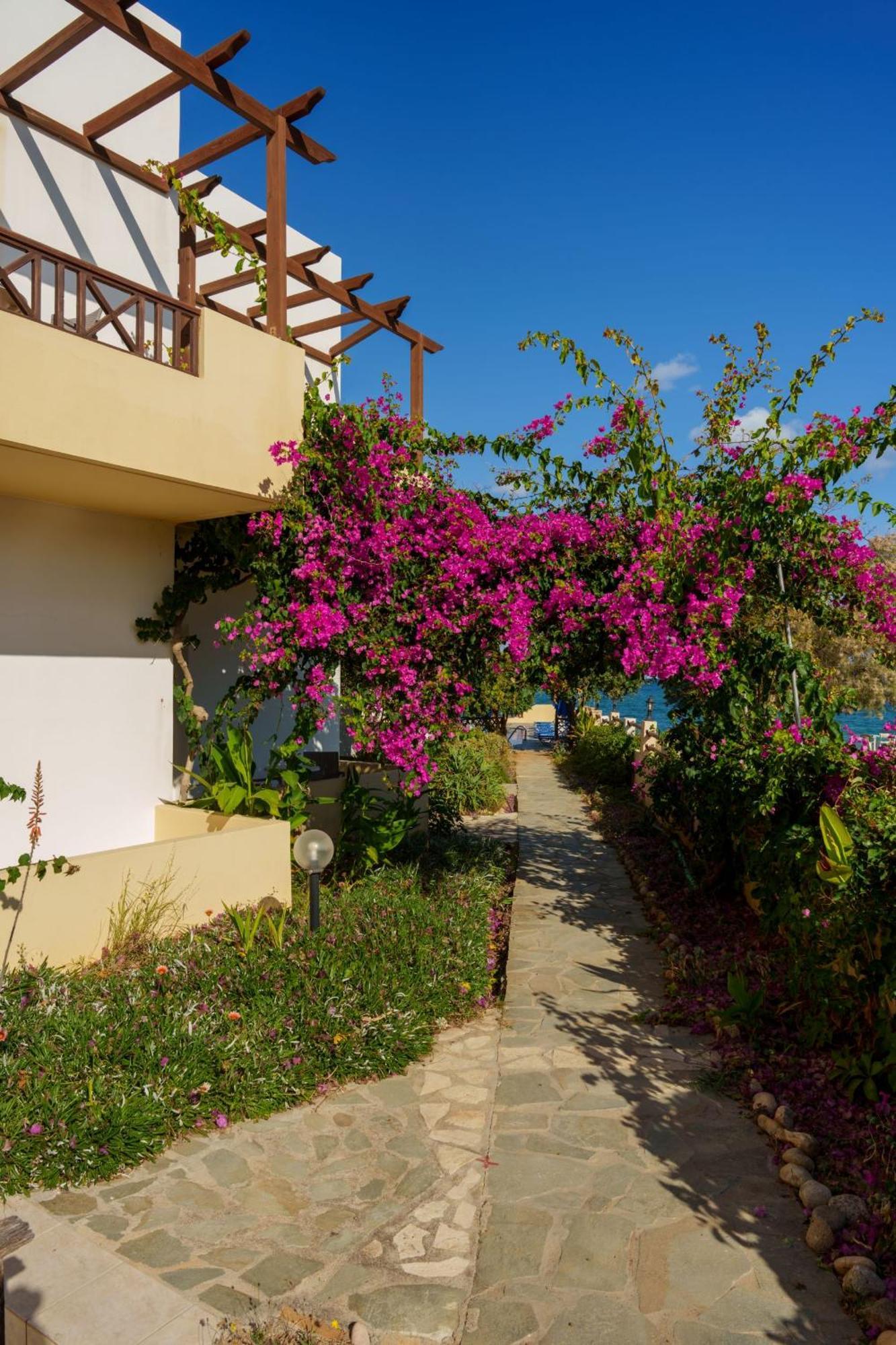 Dedalos Beach Hotel Sfakaki Exterior photo