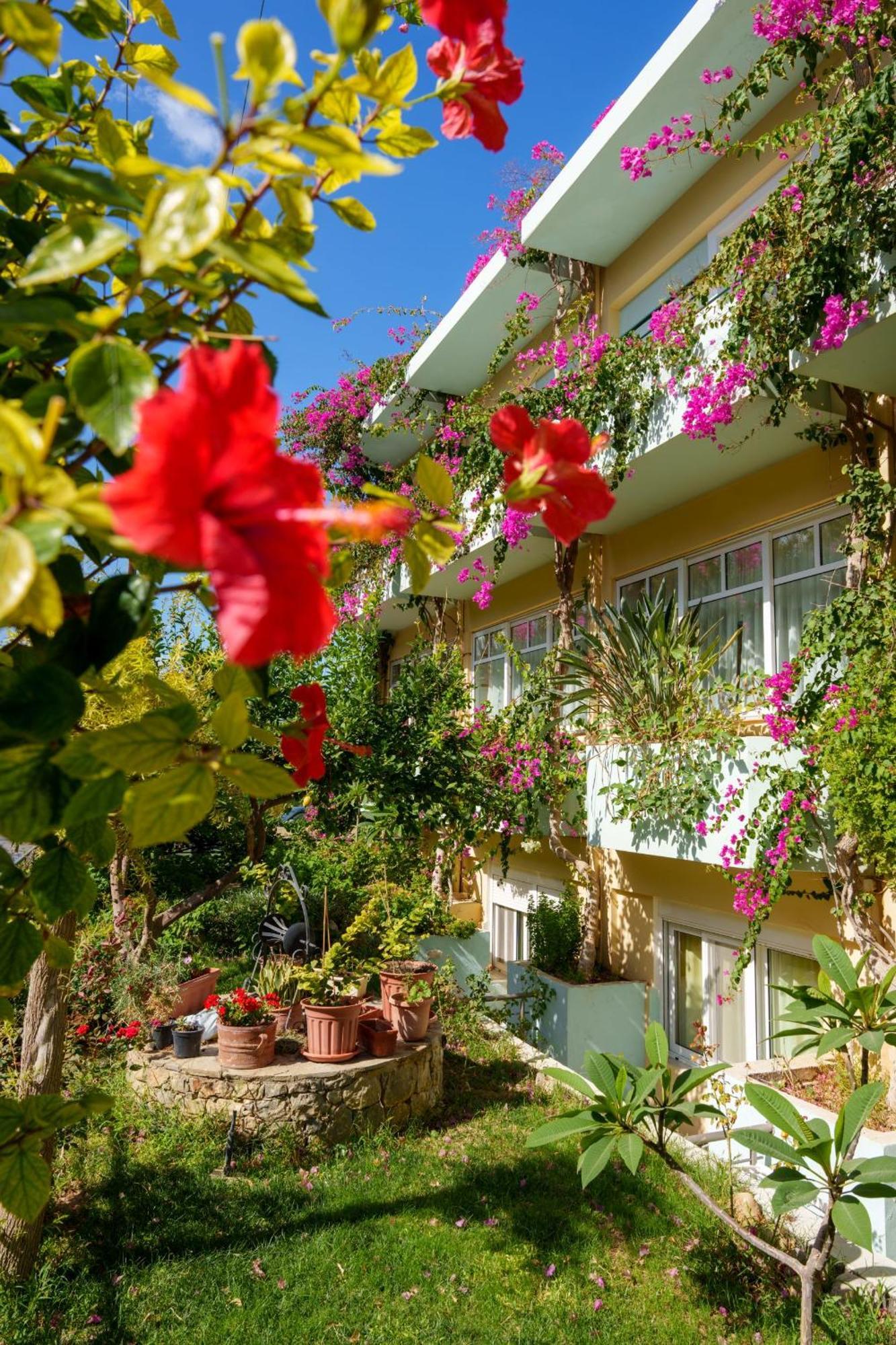 Dedalos Beach Hotel Sfakaki Exterior photo