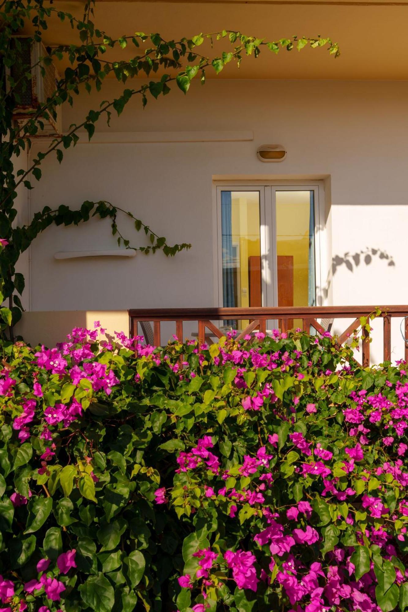 Dedalos Beach Hotel Sfakaki Exterior photo